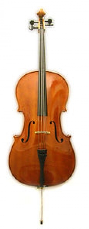 violoncel